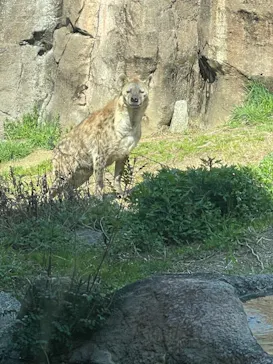 天王寺動物園に投稿された画像（2021/3/14）