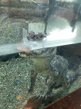 天王寺動物園に投稿された画像（2021/3/14）