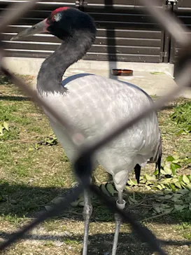 天王寺動物園に投稿された画像（2021/3/14）