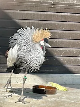 天王寺動物園に投稿された画像（2021/3/14）