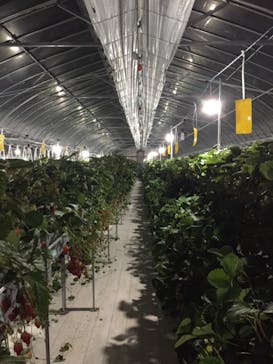 井上寅雄農園に投稿された画像（2021/3/14）