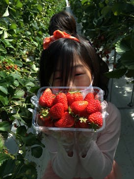 井上寅雄農園に投稿された画像（2021/3/14）