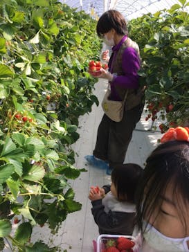 井上寅雄農園に投稿された画像（2021/3/14）