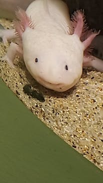 サンシャイン水族館に投稿された画像（2021/3/14）