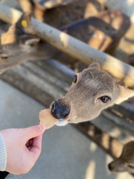 群馬サファリパークに投稿された画像（2021/3/14）