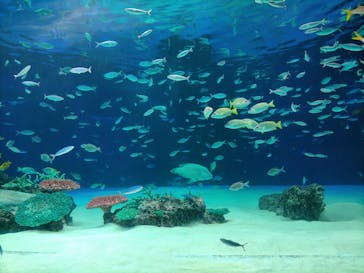 サンシャイン水族館に投稿された画像（2021/3/14）