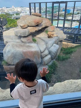 沖縄こどもの国に投稿された画像（2021/3/14）