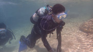 ダイビングショップ Sea Free（シーフリー）に投稿された画像（2021/3/14）