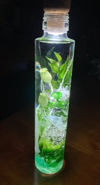 ずこうしつ〜sugamo〜に投稿された画像（2021/3/14）