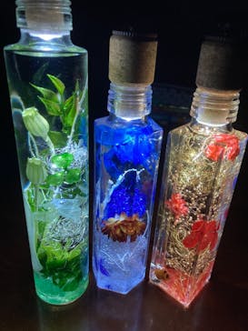 ずこうしつ〜sugamo〜に投稿された画像（2021/3/14）