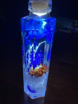 ずこうしつ〜sugamo〜に投稿された画像（2021/3/14）