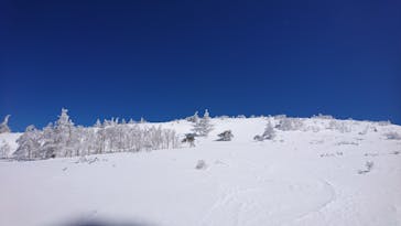 やまぼうし自然学校に投稿された画像（2021/3/14）