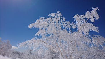 やまぼうし自然学校に投稿された画像（2021/3/14）