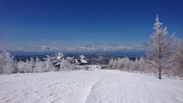 やまぼうし自然学校に投稿された画像（2021/3/14）