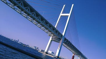 リザーブドクルーズに投稿された画像（2021/3/14）