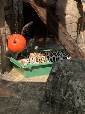 天王寺動物園に投稿された画像（2021/3/14）