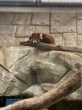 天王寺動物園に投稿された画像（2021/3/14）