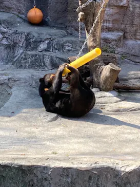 天王寺動物園に投稿された画像（2021/3/14）