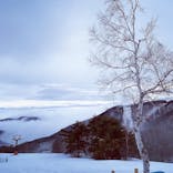 REWILD NINJA SNOW HIGHLAND（リワイルド ニンジャ スノーハイランド）に投稿された画像（2021/3/14）