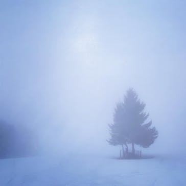 REWILD NINJA SNOW HIGHLAND（リワイルド ニンジャ スノーハイランド）に投稿された画像（2021/3/14）