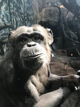 天王寺動物園に投稿された画像（2021/3/14）