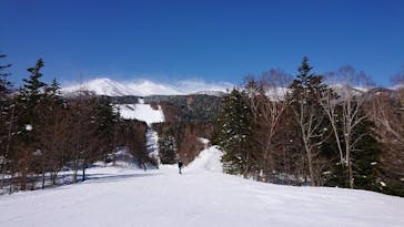 Mt.乗鞍スノーリゾートに投稿された画像（2021/3/14）