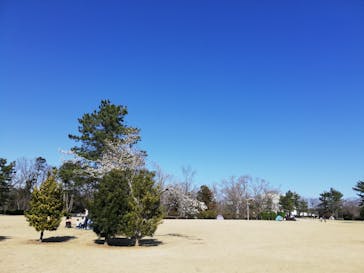 千葉こどもの国 キッズダムに投稿された画像（2021/3/14）