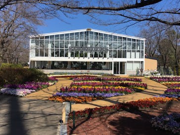 よみうりランド HANA･BIYORIに投稿された画像（2021/3/14）