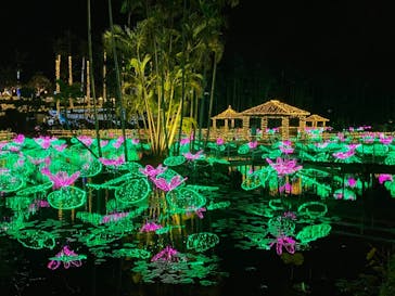美らヤシパークオキナワ・東南植物楽園に投稿された画像（2021/3/14）