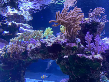 すみだ水族館に投稿された画像（2021/3/14）