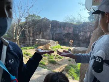 天王寺動物園に投稿された画像（2021/3/14）