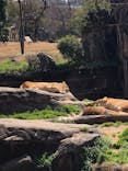 天王寺動物園に投稿された画像（2021/3/14）