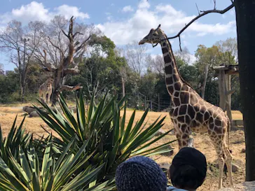 天王寺動物園に投稿された画像（2021/3/14）