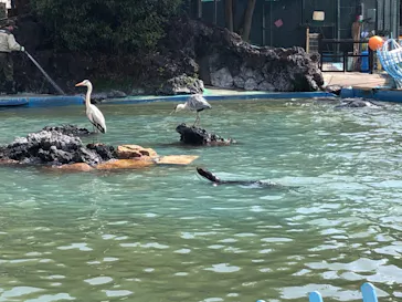 天王寺動物園に投稿された画像（2021/3/14）