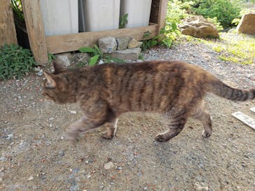 今帰仁城跡に投稿された画像（2021/3/14）