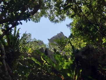 アスムイハイクスに投稿された画像（2021/3/14）