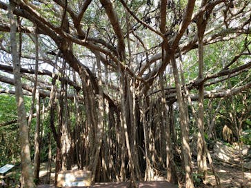 アスムイハイクスに投稿された画像（2021/3/14）