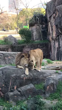 天王寺動物園に投稿された画像（2021/3/14）