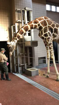 天王寺動物園に投稿された画像（2021/3/14）