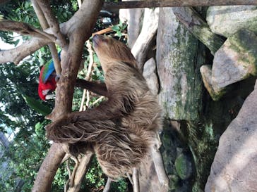 神戸どうぶつ王国に投稿された画像（2021/3/14）