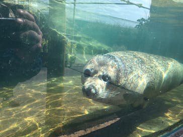 神戸どうぶつ王国に投稿された画像（2021/3/14）