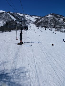 Hakuba47ウィンタースポーツパークに投稿された画像（2021/3/14）