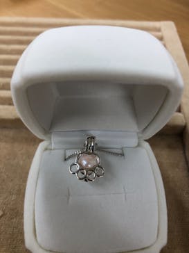 三重県真珠に投稿された画像（2021/3/14）