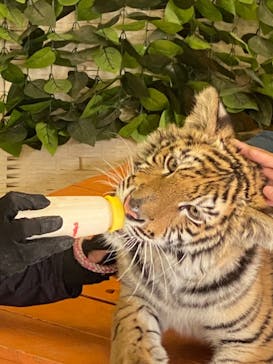 しろとり動物園に投稿された画像（2021/3/14）