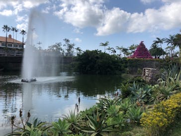 美らヤシパークオキナワ・東南植物楽園に投稿された画像（2021/3/14）