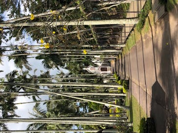 美らヤシパークオキナワ・東南植物楽園に投稿された画像（2021/3/14）