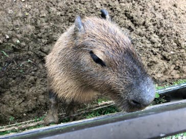 美らヤシパークオキナワ・東南植物楽園に投稿された画像（2021/3/14）