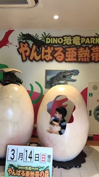 御菓子御殿　名護店　やんばる亜熱帯の森DINO恐竜PARKに投稿された画像（2021/3/14）