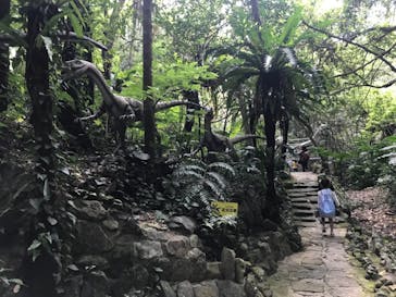 御菓子御殿　名護店　やんばる亜熱帯の森DINO恐竜PARKに投稿された画像（2021/3/14）