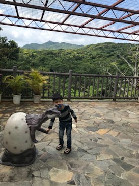 御菓子御殿　名護店　やんばる亜熱帯の森DINO恐竜PARKに投稿された画像（2021/3/14）